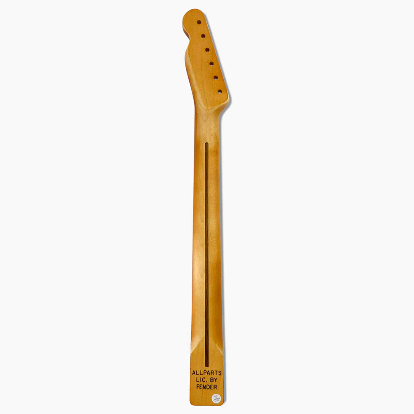Allparts Replacement Satin Finish Neck for Telecaster, Solid Maple, 21 fret, 10 inch Radius, Back